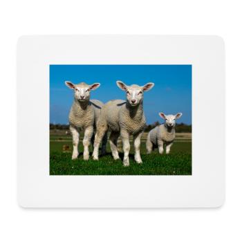 lambs in the pasture - Mouse Pad (horizontal) - white - Front