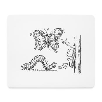 Métamorphose Chenille Pupe Papillon - Tapis de souris (format paysage) - blanc - Devant
