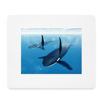Killer whales, orcas, killer whales - Mouse Pad (horizontal) - white - Front