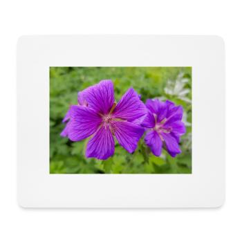 Geranium Brookside in german Storchschnäbel - Mouse Pad (horizontal) - white - Front