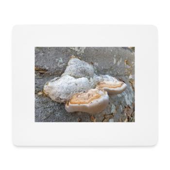 surgeon's agaric also tinder fungus Zunderschwamm - Mouse Pad (horizontal) - white - Front