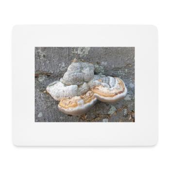 surgeon's agaric also tinder fungus Zunderschwamm - Mouse Pad (horizontal) - white - Front