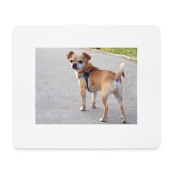 chihuahua, dog, - Mouse Pad (horizontal) - white - Front
