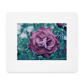 Rose - Mousepad (Querformat) - Weiß - Vorne