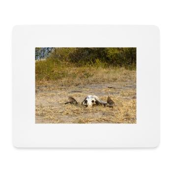 crâne d’un buffle du Cap Paysage en Namibie - Tapis de souris (format paysage) - blanc - Devant
