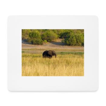 Elefanten in Namibia Afrika - Mousepad (Querformat) - Weiß - Vorne