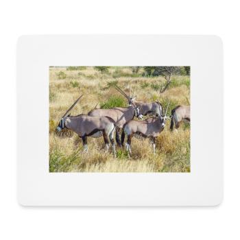 Oryx-Gemsbock-Antilope (Oryx gazella) - Mousepad (Querformat) - Weiß - Vorne