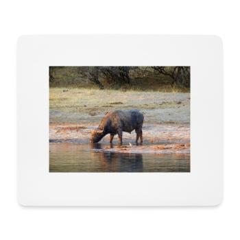 Landscape at the Cubango river with Cape buffalo - Mouse Pad (horizontal) - white - Front