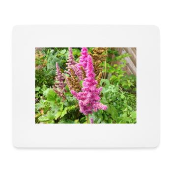 false buck's beard Astilbe japonica - Mouse Pad (horizontal) - white - Front