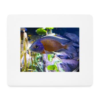 Copadichromis borleyi cichlid - Mouse Pad (horizontal) - white - Front