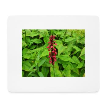 Gebirgsvlies Persicaria amplexicaulis - Mousepad (Querformat) - Weiß - Vorne