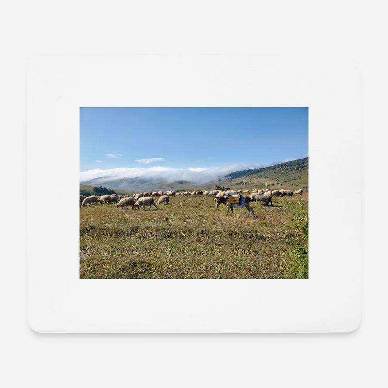 Schafe, Esel, Berge, Wiesen - Mousepad (Querformat) - Weiß