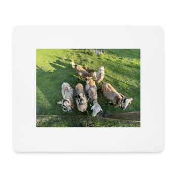 Was ne Herde - Mousepad (Querformat) - Weiß - Vorne