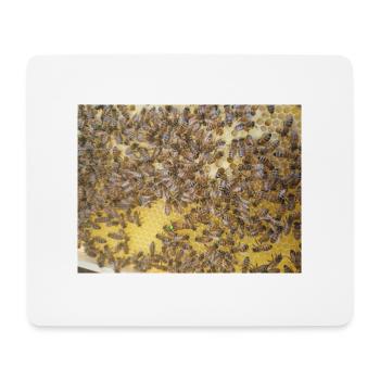 Biene - Mousepad (Querformat) - Weiß - Vorne