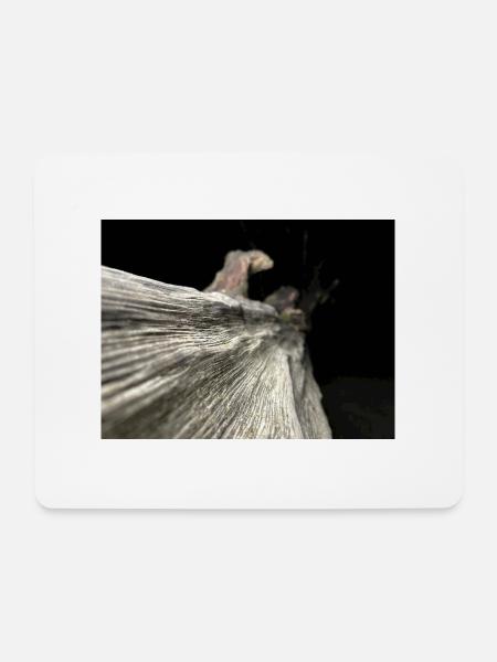 Pure Wood - Mousepad (Querformat) - Weiß