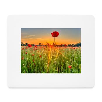 Mohnfeld Wolfsburg - Mousepad (Querformat) - Weiß - Vorne