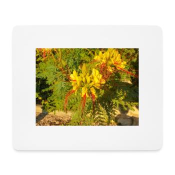 bird of paradise (in german Paradiesvogelbaum) - Mouse Pad (horizontal) - white - Front