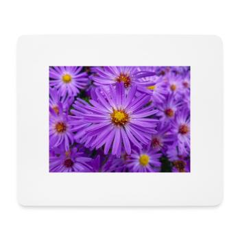 New England aster also hairy Michaelmas-daisy - Mouse Pad (horizontal) - white - Front
