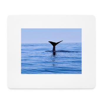 Wal - Mousepad (Querformat) - Weiß - Vorne