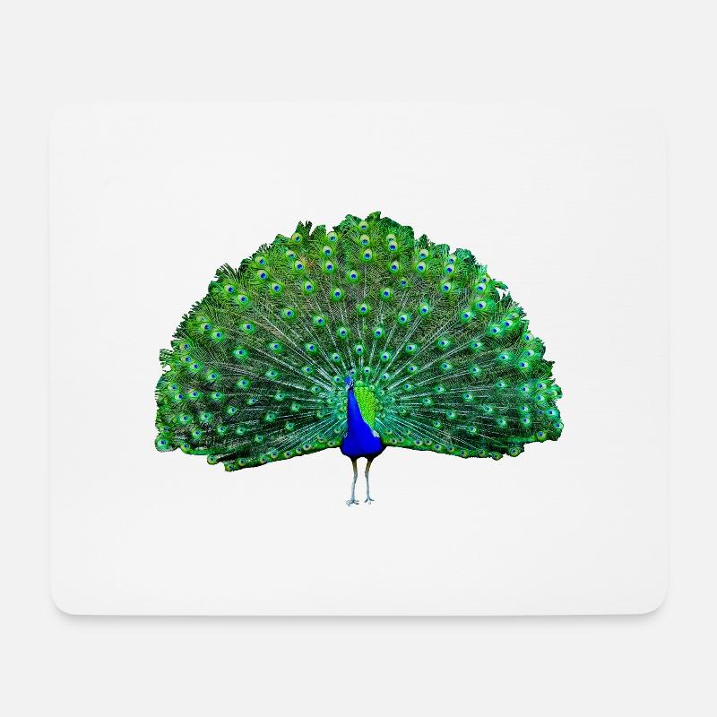 Pfau grün, blau - Mousepad (Querformat) - Weiß