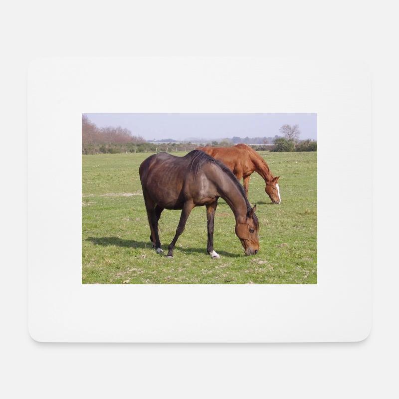Pferde - Mousepad (Querformat) - Weiß
