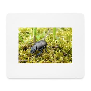 Mistkäfer Poster - Mousepad (Querformat) - Weiß - Vorne