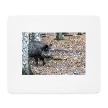 Wild boar (in german Wildschwein) Sus scrofa - Mousepad (Querformat) - Weiß - Vorne
