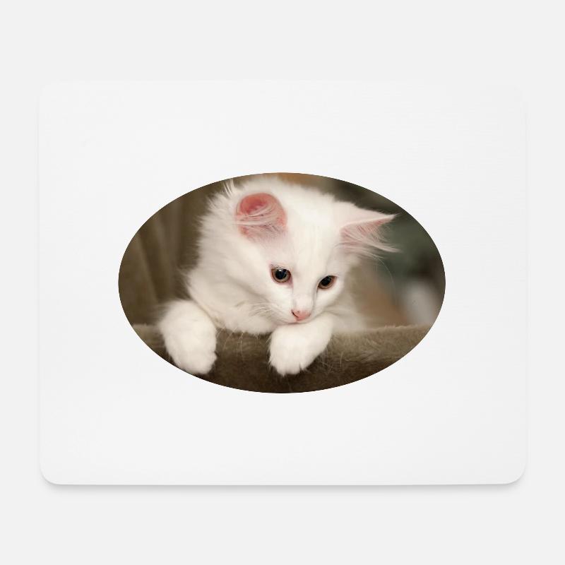 Kätzchen - Mousepad (Querformat) - Weiß