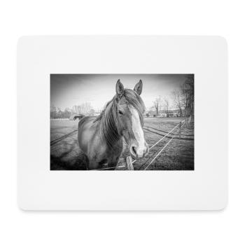 das Pferd - Mousepad (Querformat) - Weiß - Vorne