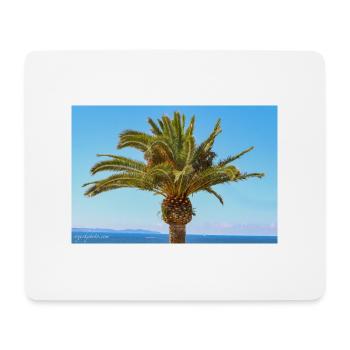 Palme in Ajaccio / Korsika. - Mousepad (Querformat) - Weiß - Vorne