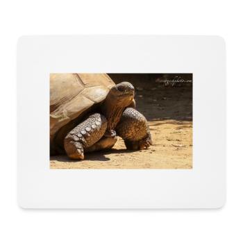 Tortue ressuscitée des Galapagos - Tapis de souris (format paysage) - blanc - Devant