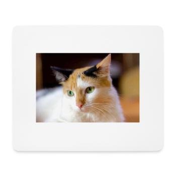 le chat au doux regard - Tapis de souris (format paysage) - blanc - Devant