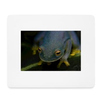 Cochranella granulosa - Glassfrog - Mouse Pad (horizontal) - white - Front