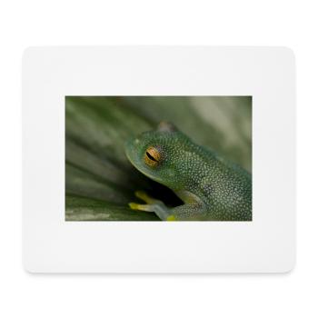 Cochranella granulosa - grenouille de verre, grenouille arboricole - Tapis de souris (format paysage) - blanc - Devant