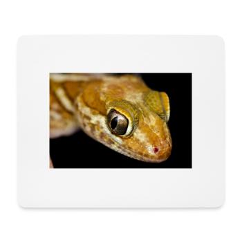 Paroedura picta - Madagasar ground gecko - Mouse Pad (horizontal) - white - Front