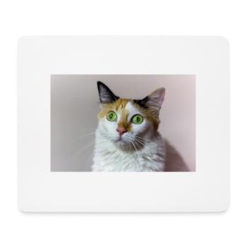 Die Katze - Mousepad (Querformat) - Weiß - Vorne