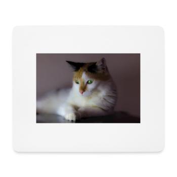 le chat au doux regard - Tapis de souris (format paysage) - blanc - Devant