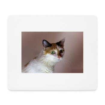 le chat au doux regard - Tapis de souris (format paysage) - blanc - Devant