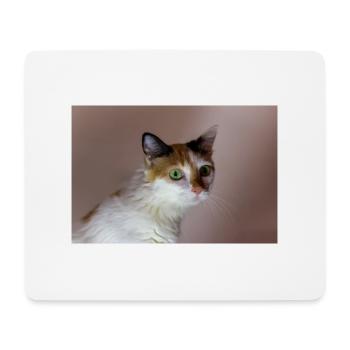 le chat au doux regard - Tapis de souris (format paysage) - blanc - Devant