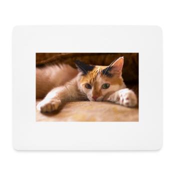 the cat - Mouse Pad (horizontal) - white - Front