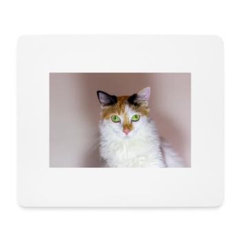 Die Katze mit dem süßen Look - Mousepad (Querformat) - Weiß - Vorne