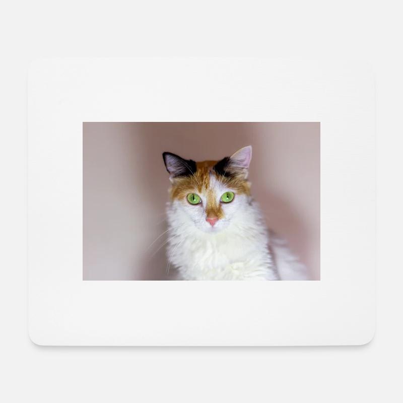 le chat au doux regard - Tapis de souris (format paysage) - blanc