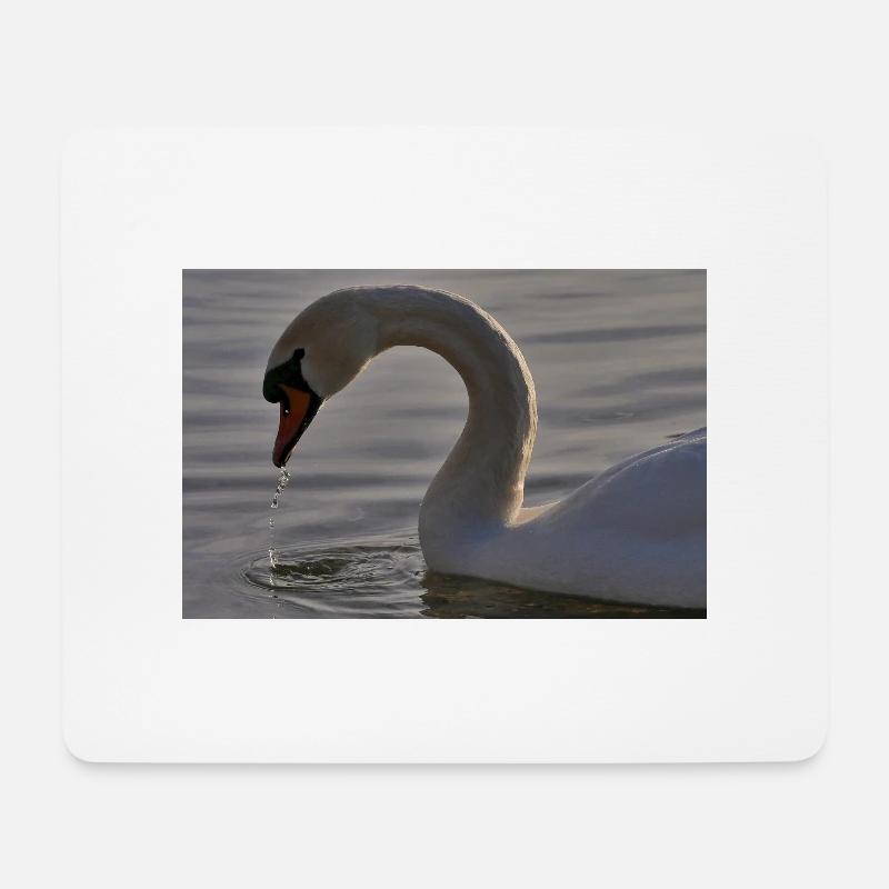 Photographie de cygne - Tapis de souris (format paysage) - blanc