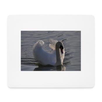 Schwan Poster - Mousepad (Querformat) - Weiß - Vorne