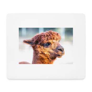 Alpaca (in german Alpaka) Vicugna pacos - Mouse Pad (horizontal) - white - Front