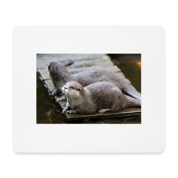 Asiatischer Kleinkrallenotter Zwergotter - Mousepad (Querformat) - Weiß - Vorne