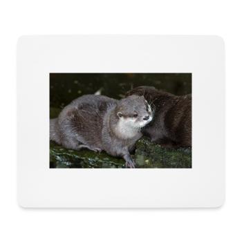 Asiatischer Kleinkrallenotter Zwergotter - Mousepad (Querformat) - Weiß - Vorne