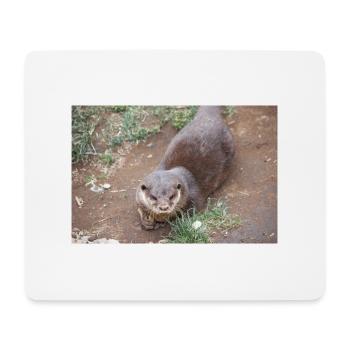 Asiatischer Kleinkrallenotter Zwergotter - Mousepad (Querformat) - Weiß - Vorne