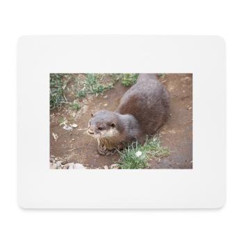 Asiatischer Kleinkrallenotter Zwergotter - Mousepad (Querformat) - Weiß - Vorne