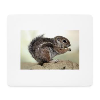 Chipmunk (in german kanadisches Streifenhörnchen) - Mouse Pad (horizontal) - white - Front